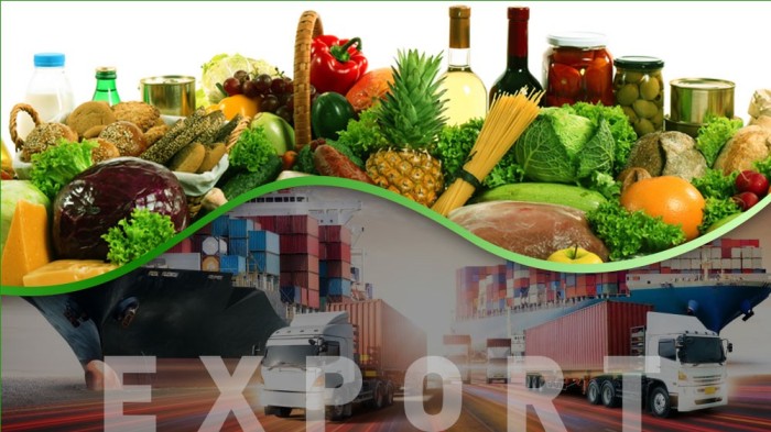 export product food - fanoos sabz